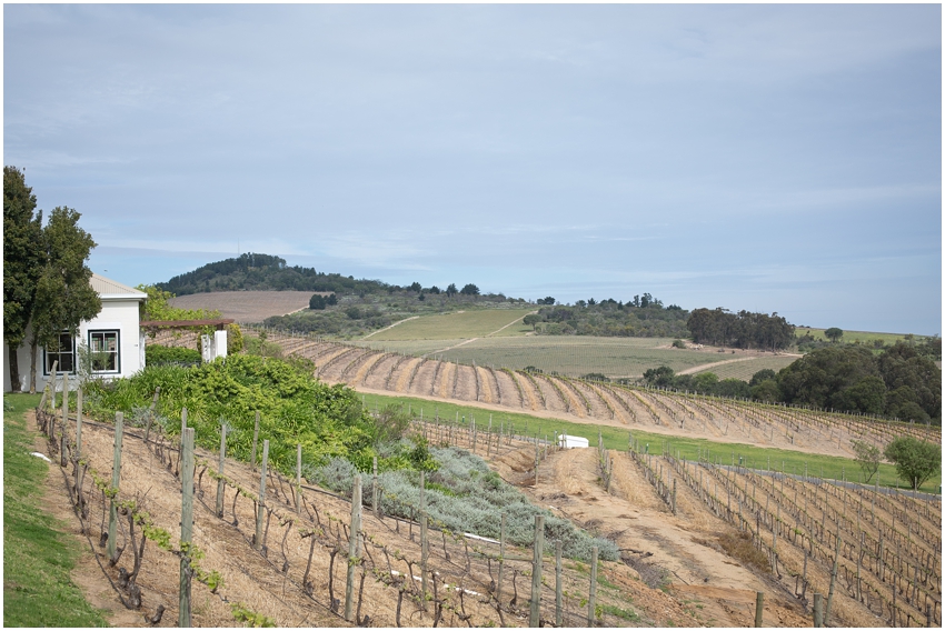 Cape Town wedding Zevenwacht